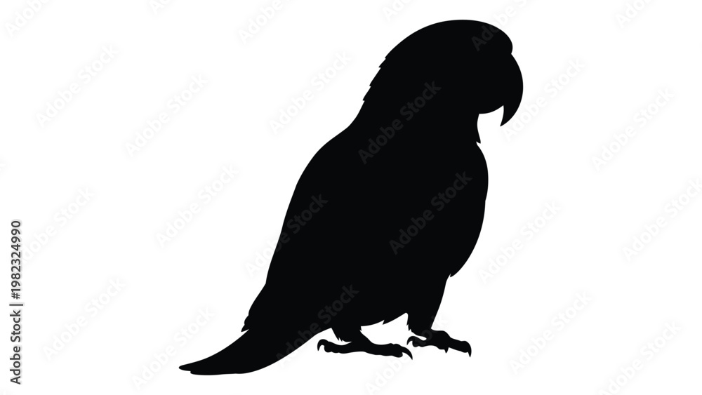 Fototapeta premium Silhouette of a parrot perched displaying its beak and feathered form
