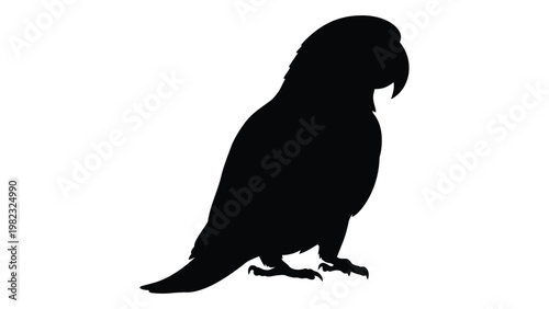 Silhouette of a parrot perched displaying its beak and feathered form