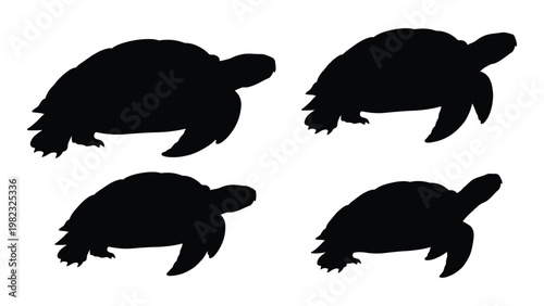 Four black silhouettes of turtles in varying poses are displayed on a white background