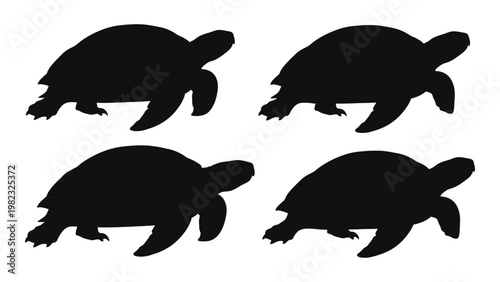 Four black silhouettes of turtles in varying poses and sizes are displayed