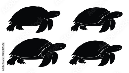 Four black silhouettes of turtles in various poses are displayed on a white background