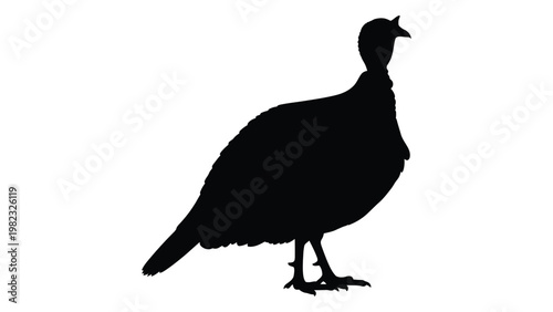 A striking silhouette of a wild turkey standing in profile against a white background