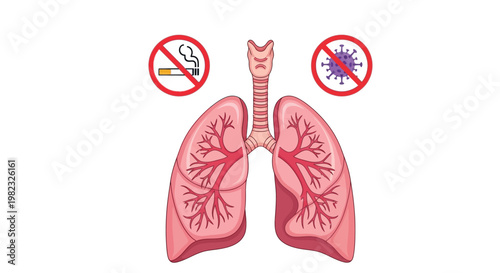 Vector graphic illustration showing human lungs with prohibition signs for smoking and also dangerous viral infections