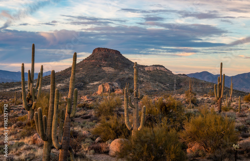 Desert Landscape Scenery At Browns Ranch Trailhead In North Scottsdale