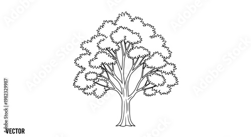 Black and white vector illustration of a detailed tree isolated on white background