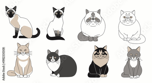 Diverse collection of cat breeds posed in vector illustration style