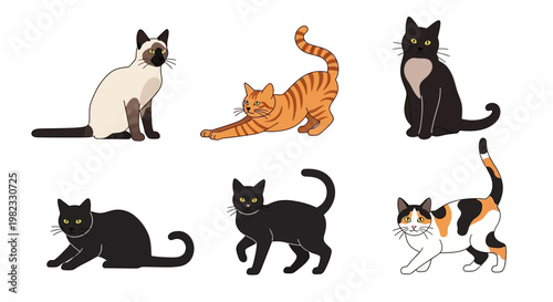 Various cat breeds isolated on white background with different poses and colors