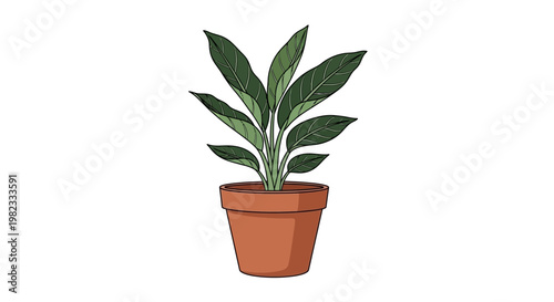 Illustrated houseplant in a terracotta pot against a white background