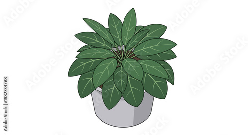 Green potted houseplant illustration on white background for design element