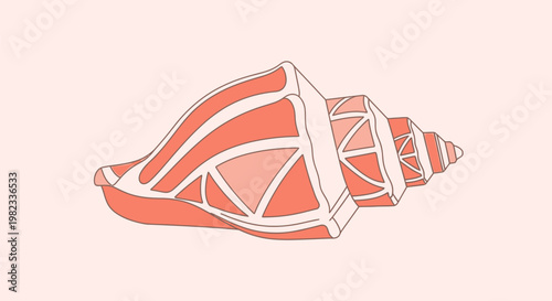 Stylized coral colored seashell illustration on a soft pink background.