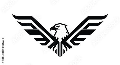 Powerful and modern black and white eagle graphic vector illustration with majestic spread wings