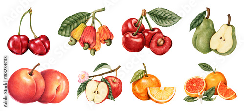 PNG Vibrant watercolor fruits illustration on transparent background