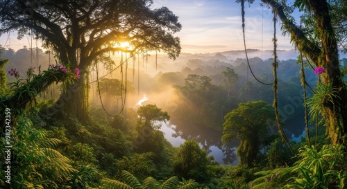 Lush tropical rainforest landscape with sunlight trees and water