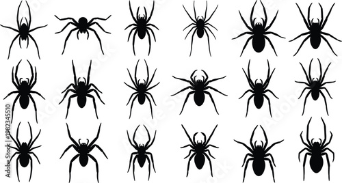 WebSet of creepy spider silhouettes, various black insect icons, halloween arachnid collection, tarantula and predator shapes isolated on white background, design.
