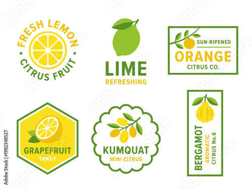Citrus fruit packaging labels, vintage orange and lemon badges for organic product branding