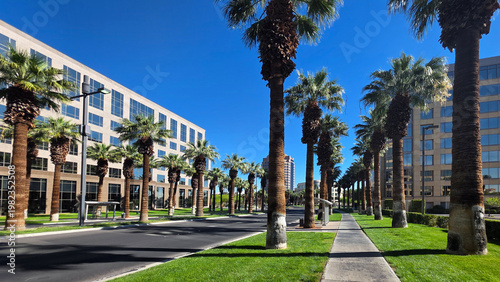 Fotografie Palm-Lined Office Street in Las Vegas