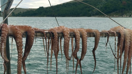 Beautiful view of drying octopus with calm turquoise sea and green hills. Cinematic footage for travel vlogs and summer vacation themes.