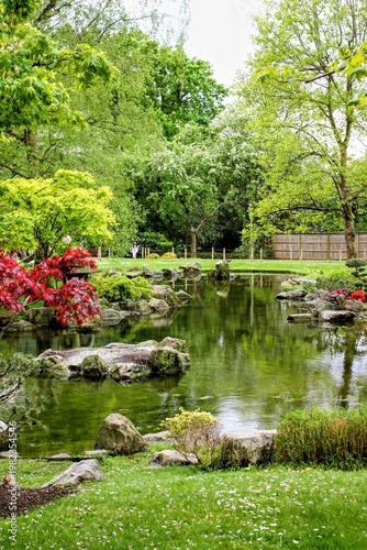 Photography Tranquil Japanese Garden Pond with Red Maple Trees, Holland Park London