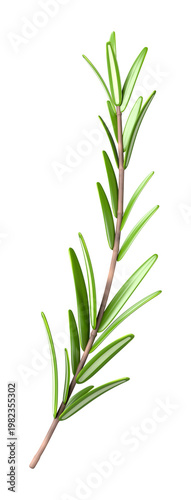PNG 3D rosemary branch, element illustration, transparent background