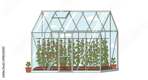 A greenhouse with plants and tomatoes growing inside.