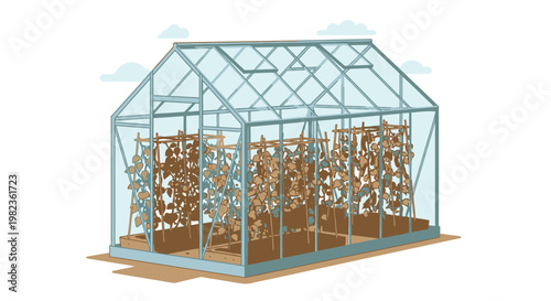 A greenhouse with plants inside it.