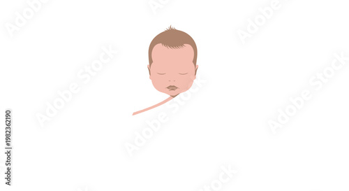 The head of a newborn baby with light brown hair and closed eyes emerges from a partially visible white swaddle against a clean white background.