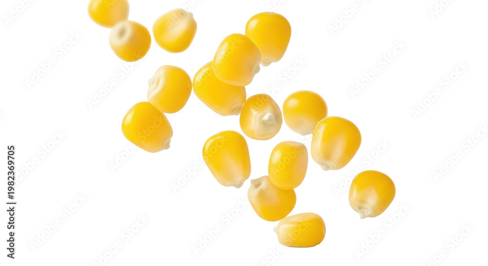 Fototapeta premium Vibrant yellow sweet corn kernels, ripe, suspended mid-air against a transparent studio background, sharp focus, soft bokeh, high-key light, photorealistic still-life, fresh vitality concept