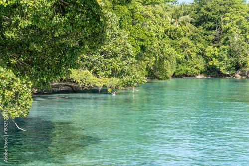 Coastal Scene in Raja Ampat