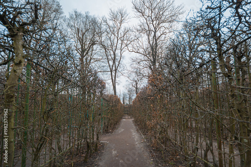 Small Garden Labyrinth with Dry Winter Branches and Gravel Paths in a Public Park During March Early Spring Landscape Architecture and Outdoor Recreational Area