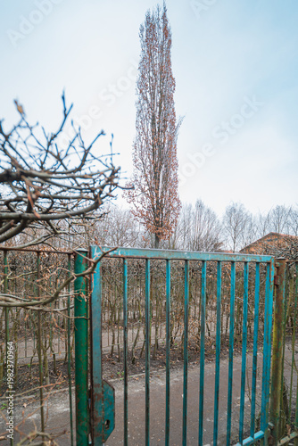 Small Garden Labyrinth with Dry Winter Branches and Gravel Paths in a Public Park During March Early Spring Landscape Architecture and Outdoor Recreational Area