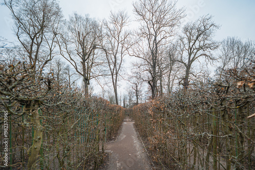 Small Garden Labyrinth with Dry Winter Branches and Gravel Paths in a Public Park During March Early Spring Landscape Architecture and Outdoor Recreational Area