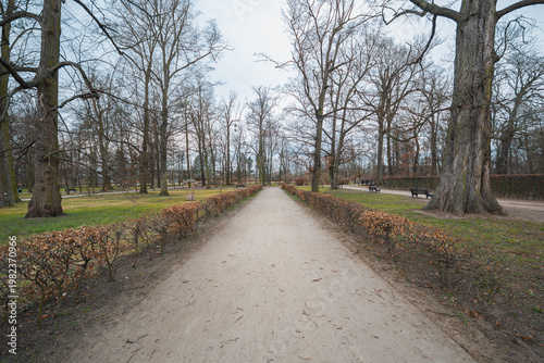 Winding Gravel Pedestrian Path Through Lush Green Urban Park with Mature Trees and Grass Lawn Background Scenic Walkway for Recreation and Leisure Outdoors