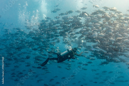 A diver swims through a large school of fish in the ocean.