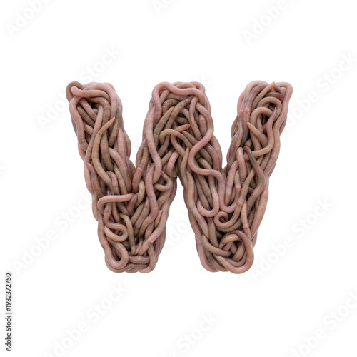 earthworm letter W - Lower-case 3d earthworm font isolated on white background. This alphabet is perfect for creative illustrations related to gardening, compost, horror concept. Generative AI