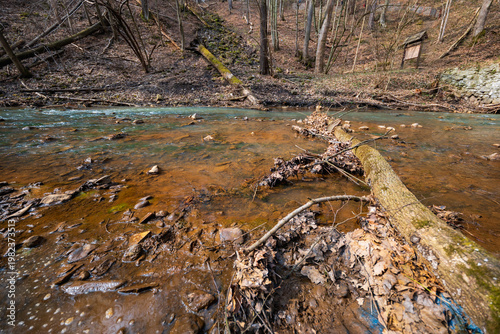 Old Weathered Wooden Log Lying in a Shallow Clear Mountain River with Small Stones and Pebbles Scenic Alpine Stream Landscape in Wild Nature Under Overcast Sky