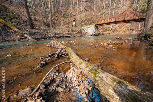 Old Weathered Wooden Log Lying in a Shallow Clear Mountain River with Small Stones and Pebbles Scenic Alpine Stream Landscape in Wild Nature Under Overcast Sky