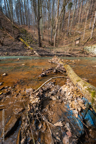 Old Weathered Wooden Log Lying in a Shallow Clear Mountain River with Small Stones and Pebbles Scenic Alpine Stream Landscape in Wild Nature Under Overcast Sky