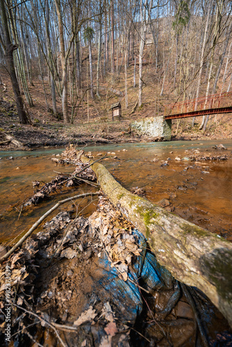 Old Weathered Wooden Log Lying in a Shallow Clear Mountain River with Small Stones and Pebbles Scenic Alpine Stream Landscape in Wild Nature Under Overcast Sky