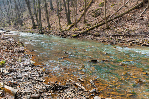 Shallow Mountain River Flowing Over Stones and Pebbles with Fallen Trees and Driftwood on Banks Scenic Alpine Stream in Wild Nature Under Overcast Sky Landscape