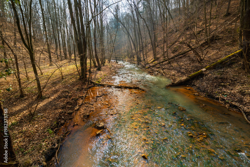 Shallow Mountain River Flowing Over Stones and Pebbles with Fallen Trees and Driftwood on Banks Scenic Alpine Stream in Wild Nature Under Overcast Sky Landscape