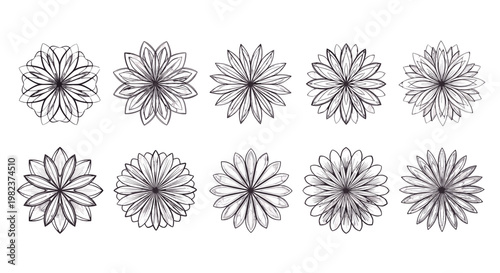 Collection of ten detailed black and white floral illustrations