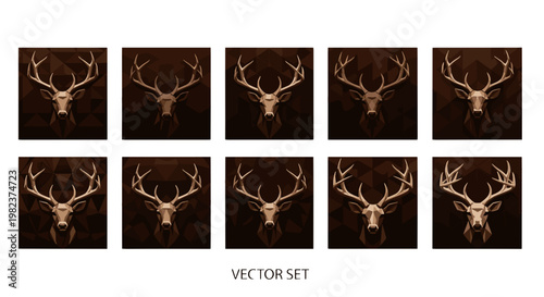 Set of realistic deer head illustrations with detailed antlers