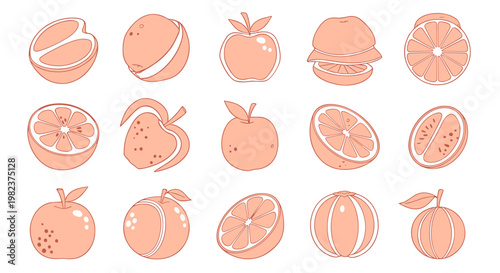 Collection of various citrus fruits including oranges lemons and grapefruits