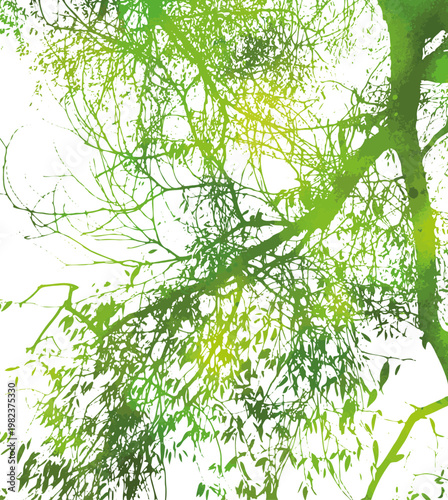Silhouette of willow green tree branch. Not AI, vector illustration.