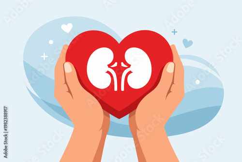 World Kidney Day Awareness Concept with Hands Holding a Red Heart and White Kidney Icon Symbol for Health Care, Organ Donation, Medical Support, and Renal Disease Prevention Flat Vector Illustration