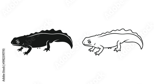 Salamander icons, black and white vector illustrations, amphibian symbols, simple animal designs