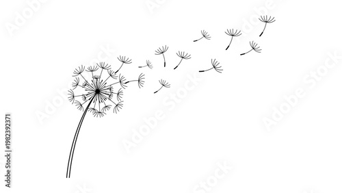 Hand-Drawn Minimalist Dandelion with Blowing Seeds Vector Icon Illustration; Clean Black Line Art on White Background with Editable Stroke for Nature, Growth, and Wellness Graphic Design.