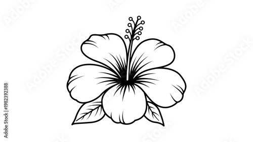 Tableau sur toile Minimalist black line vector icon illustration of a hibiscus flower on a white background, featuring hand-drawn botanical details, tropical floral outline, and clean scalable design for graphics