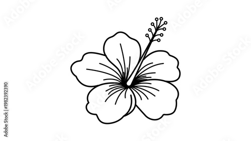 Minimalist black line vector icon of a hibiscus flower on a white background. Hand-drawn outline illustration of a tropical bloom with petals and stamen, perfect for nature and floral designs.