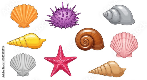 Collection of Colorful Seashells and Sea Creatures on White Background